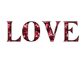 LOVE Horizontal