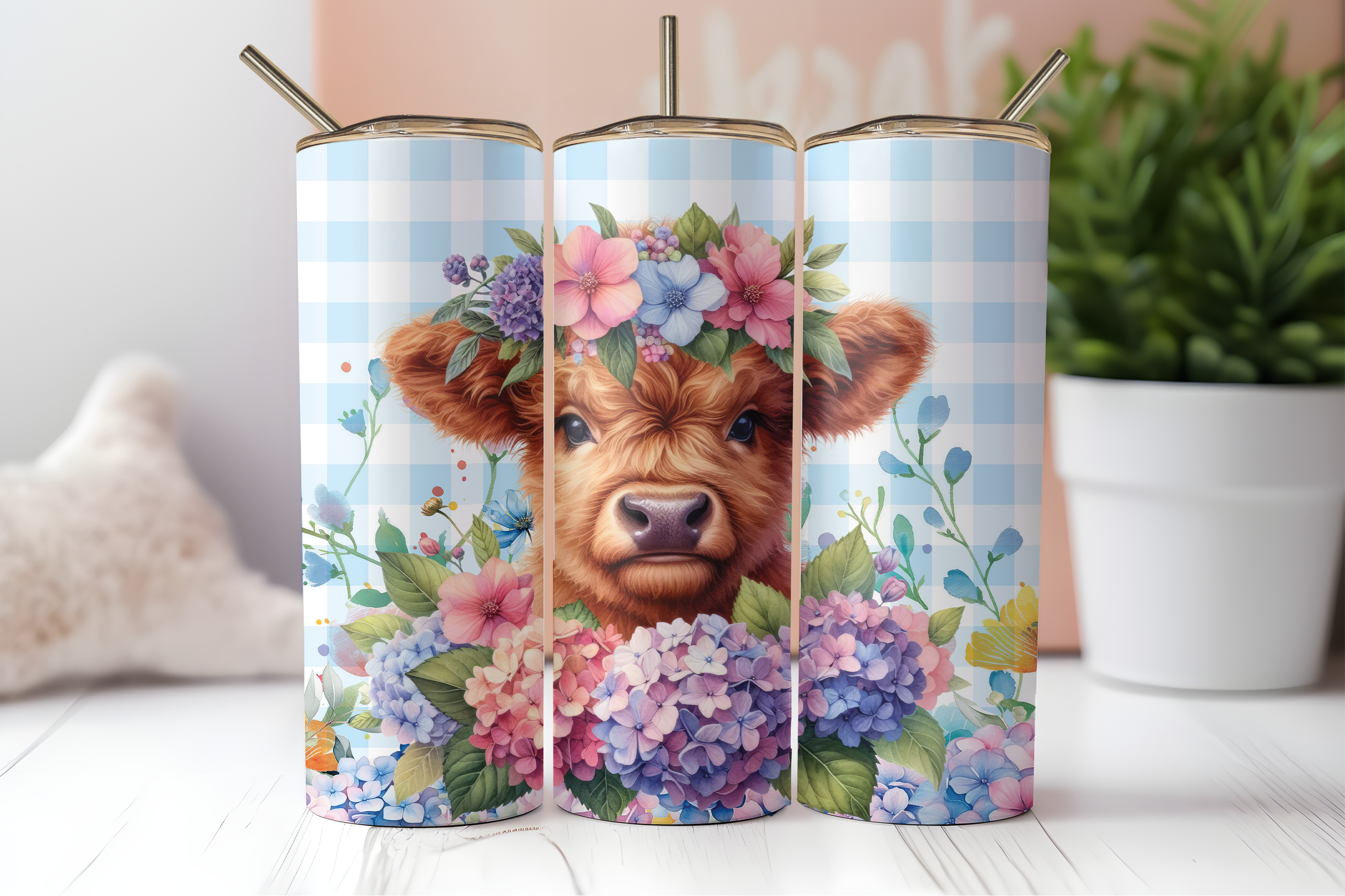 Hyland Cow