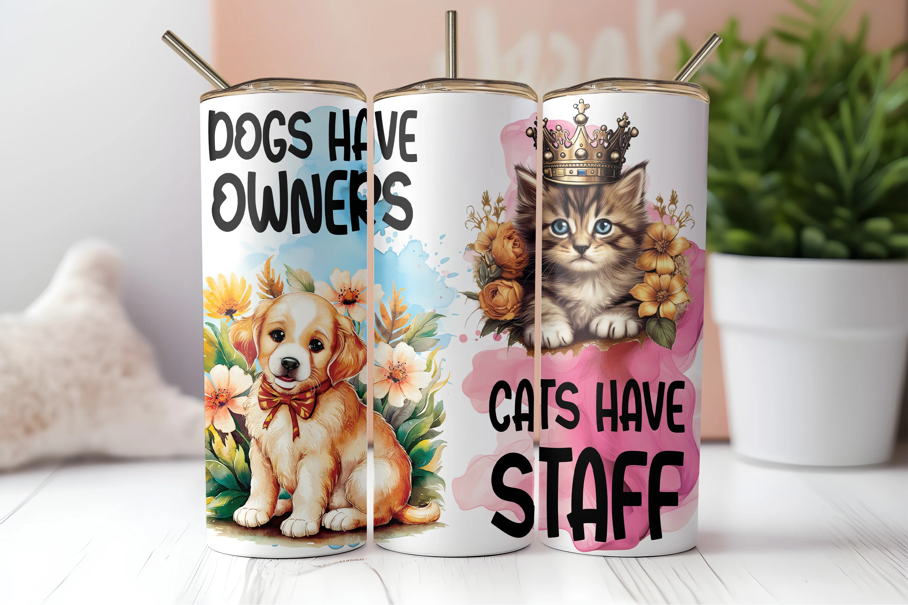 Dogs have owners cats have staff