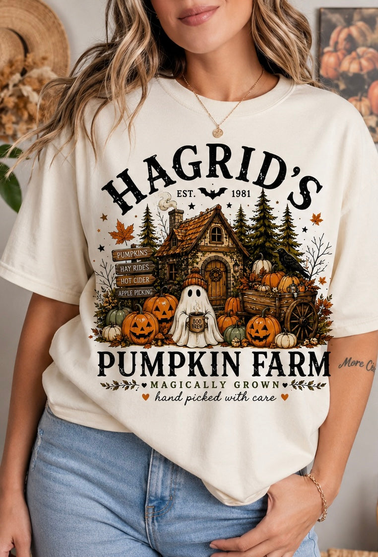 Hagrid’s Pumpkin Farm