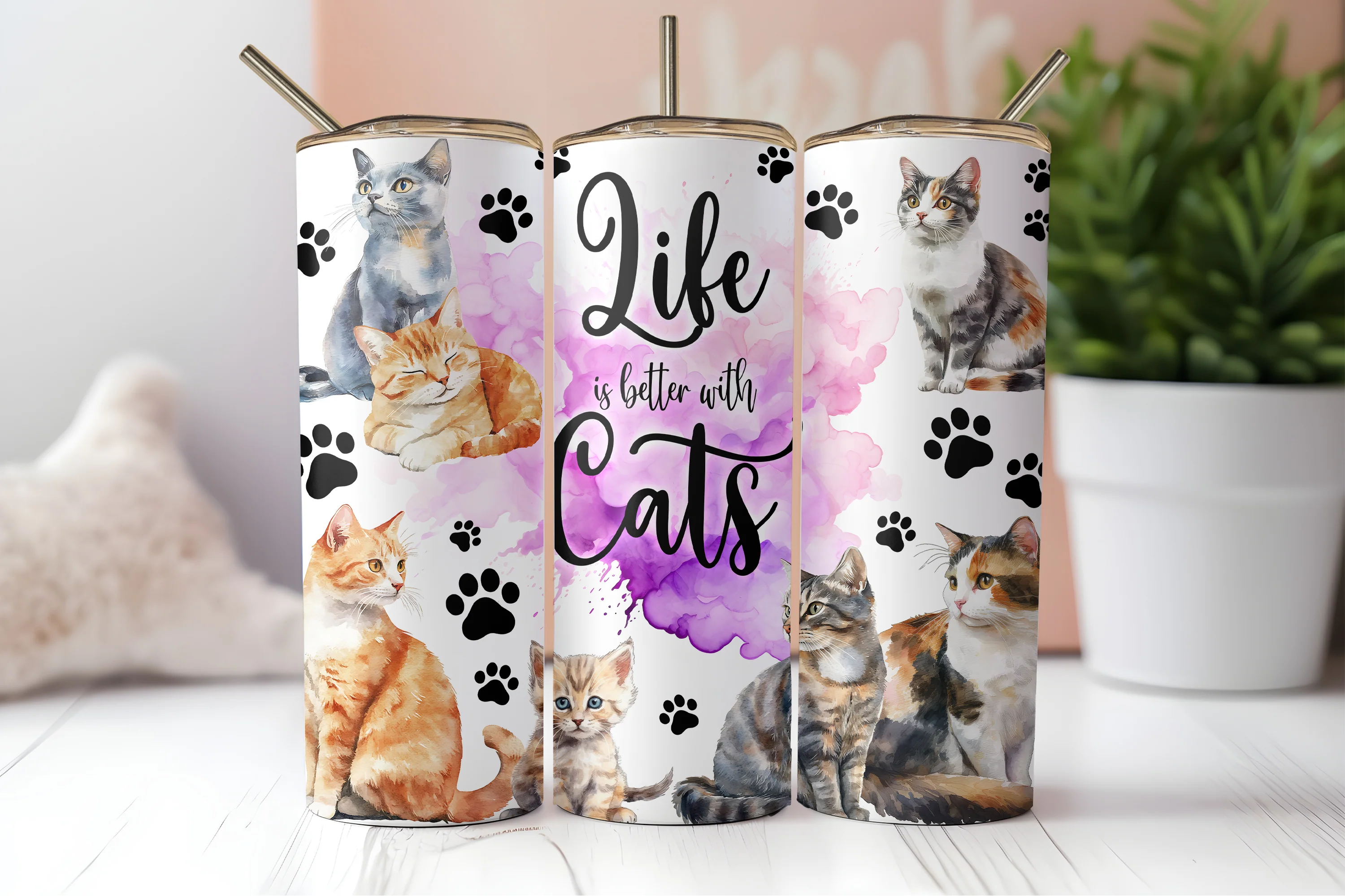 Life is better with cats