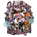 Heifers its cold outside